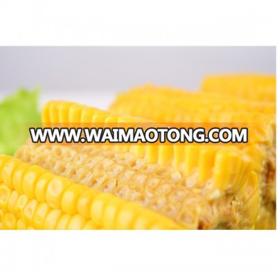 Fresh Sweet Corn Cob with Vacuum Packed