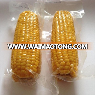 High grade vacuum packed sweet corn for superfoods OEM