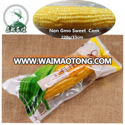 Non gmo canned yellow sweet corn for healthy snacks