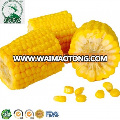 Canned Kernel Sweet Corn in Brine