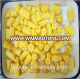 popular / best price canned yellow baby corn for sale in China