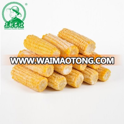 Wholesale Bulk IQF Frozen Sweet corn