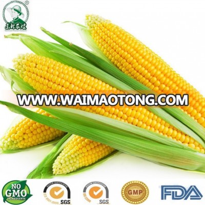 Non gmo canned sweet corn for Waimaotong supplier